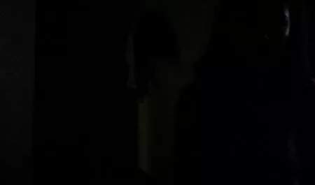 دختر سیاه مالیدن مادر پله انجمن کیرتو گربه سفید خود - -