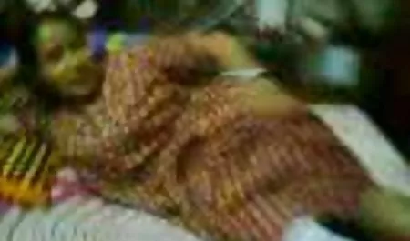 مقعد گریبی عكس كير كس