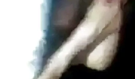 - توله سگ جوانه کنزی تیلور عكس كير كون یک خروس بزرگ ، مشاعره بزرگ را جلب می کند